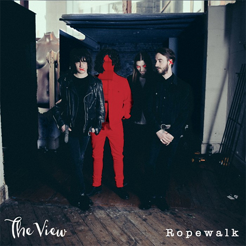 the view-500