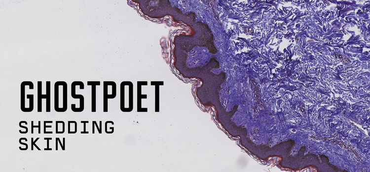 Read more about the article GHOSTPOET – “SHEDDING SKIN” – ALBUM