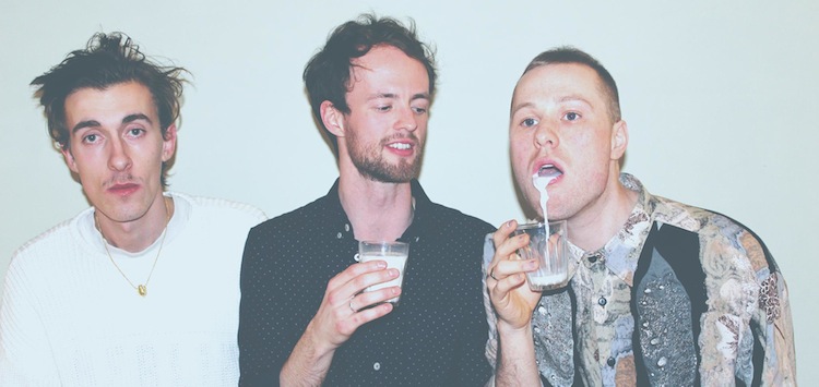 Read more about the article New Music – Animal Language