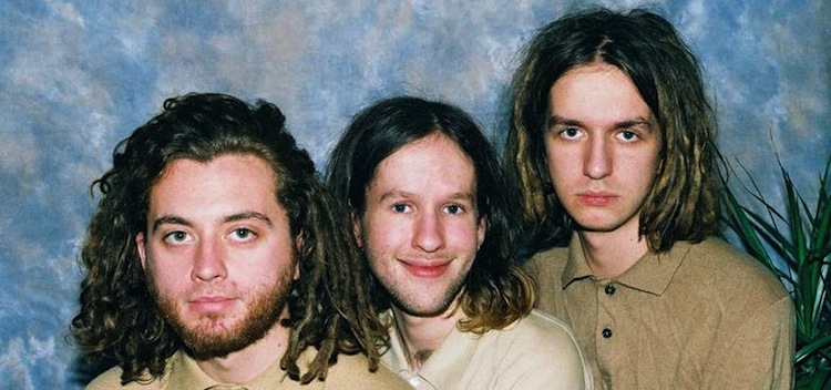 Read more about the article Release review – GANG “Animalia/Breath Before Death”