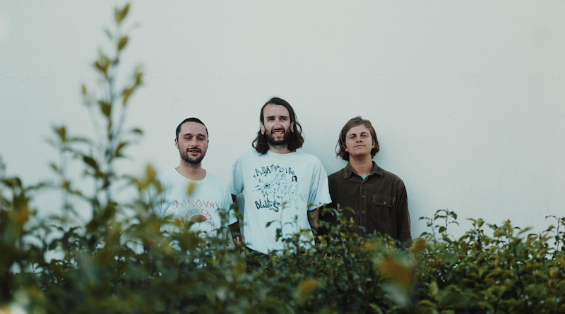 Read more about the article NEW MUSIC: BIRDSKULLS